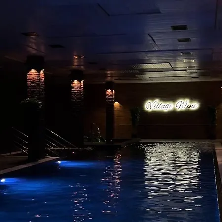 فندق The Village Wine 3*