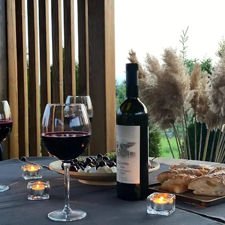 The Village Wine 3* Chernyakhov