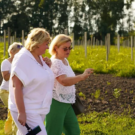 The Village Wine فندق Chernyakhov